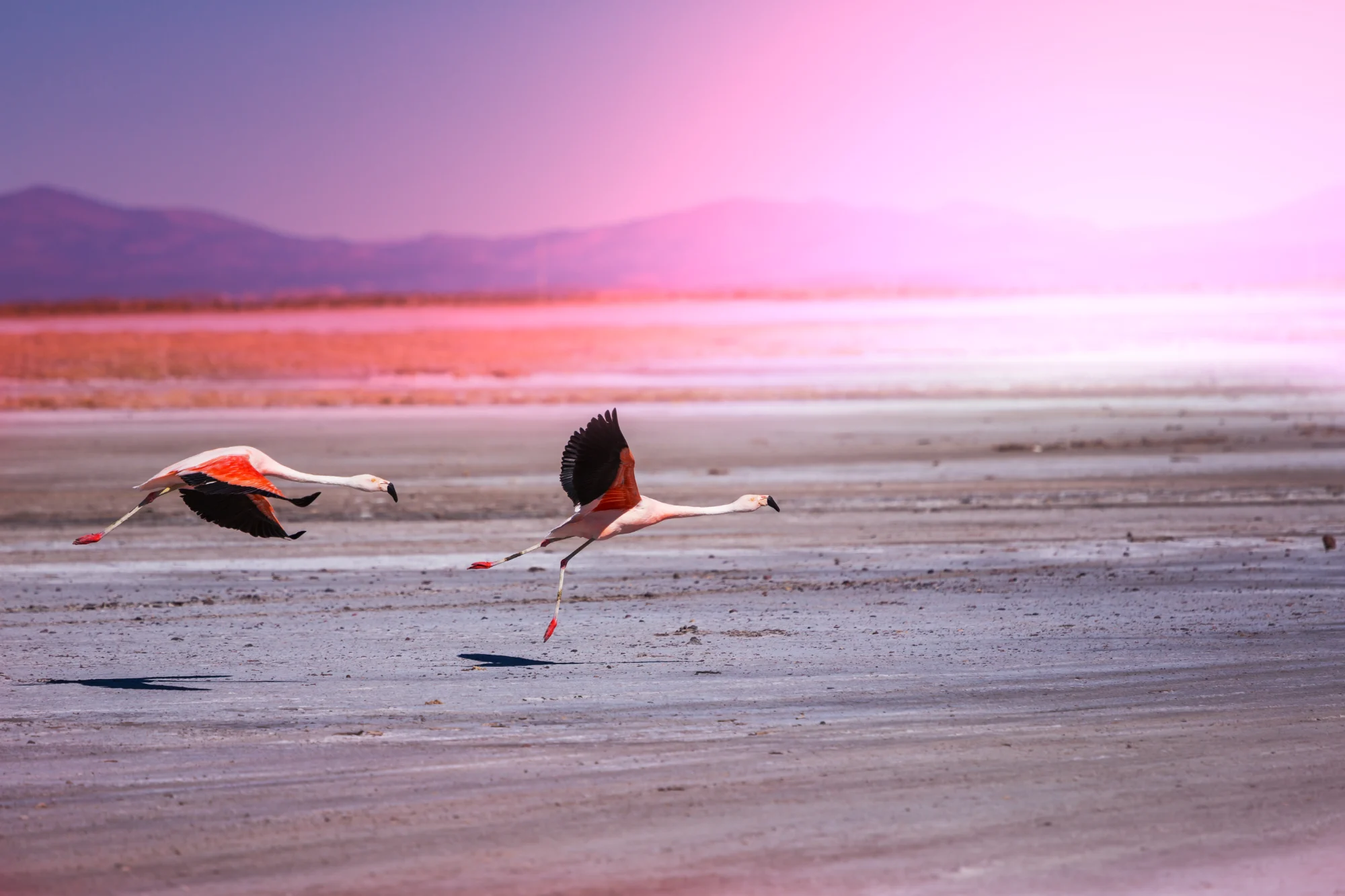 Wide water and escarpment landscape near Lake Natron