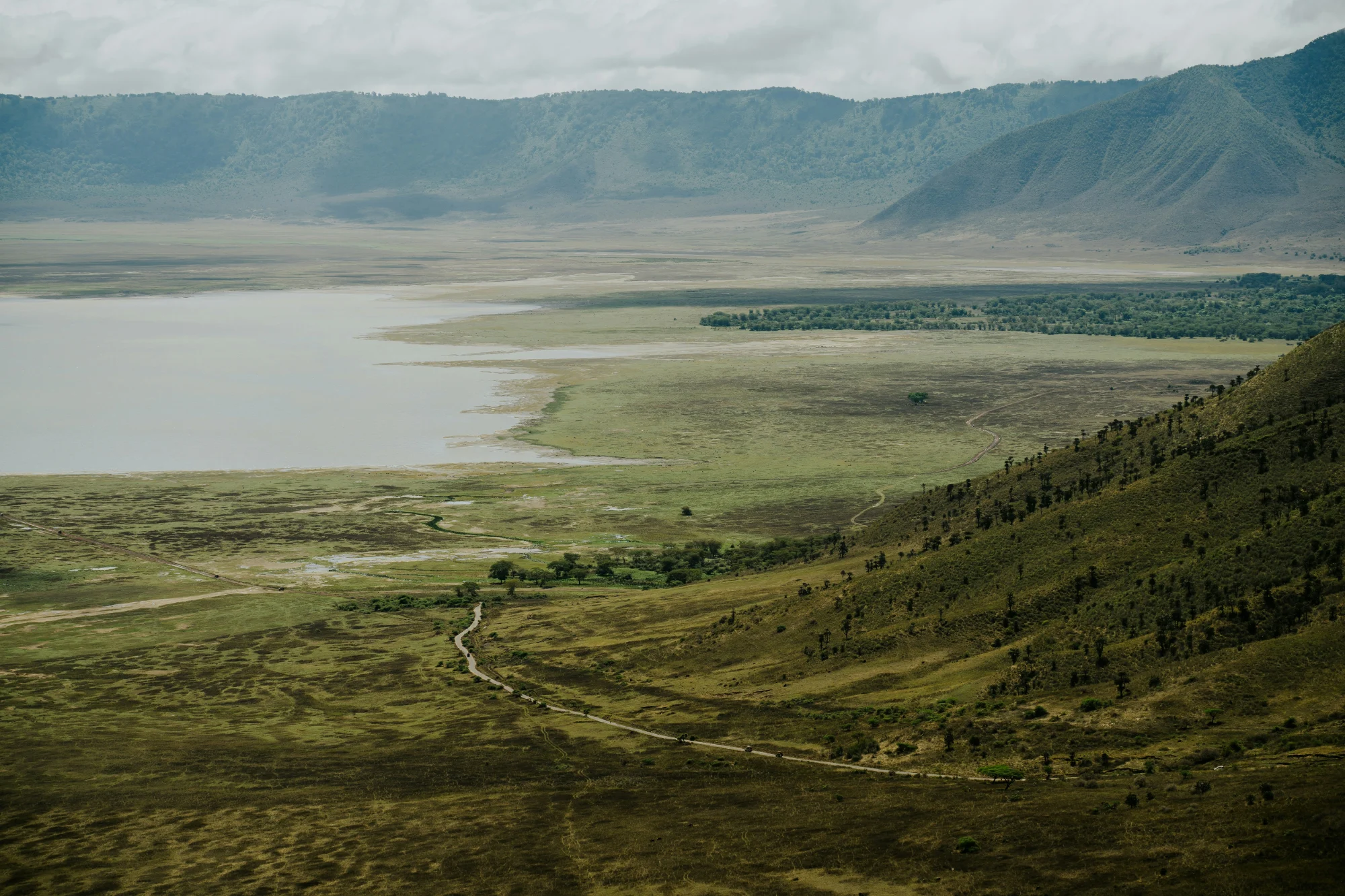 Panoramic view over the Ngorongoro Crater floor