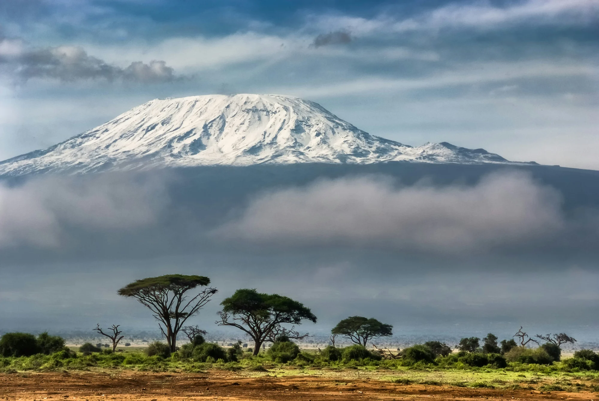 Open highland landscape on the approach to Kilimanjaro